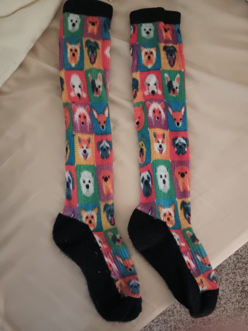 Knee-high socks with colorful dog print